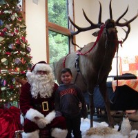 Gallery 3 - The 13th Annual Gualala Arts Center Festival of Trees