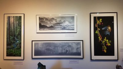 Artist's Collective in Elk is featuring Jon Klein's Photographs for the month of March