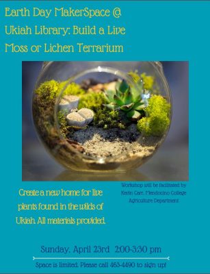 Earth Day Maker Space: Build a Live Moss and Lichen Terrarium