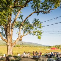 Gallery 4 - Friday Happy Hour at RIVINO Estate Winery
