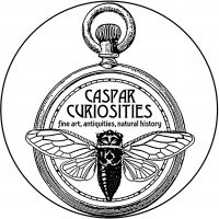 Caspar Curiosities