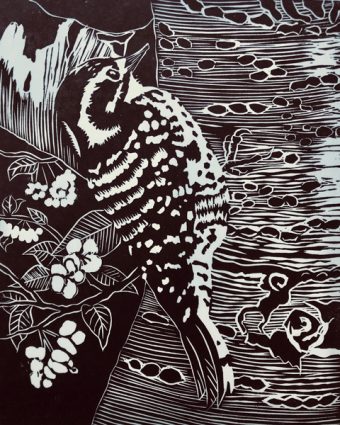 Gallery 1 - Noyo 4: The Printmakers’ Show