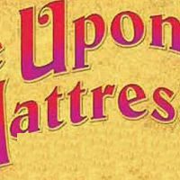 Gallery 1 - Once Upon a Mattress