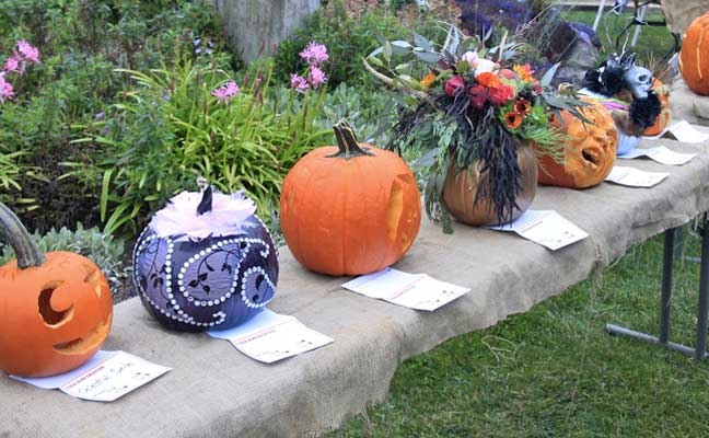 Gallery 1 - The Gualala Arts 2020 Pumpkin Carving Competition