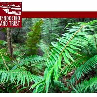Gallery 1 - Mendocino Land Trust's 