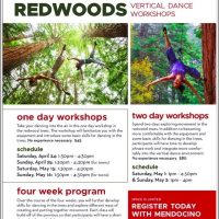 Gallery 1 - Mendocino Dance Project Spring Workshops In The Trees