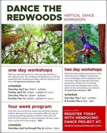 Gallery 1 - Mendocino Dance Project Spring Workshops In The Trees