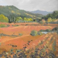 Gallery 1 - 'Oil and Water' Lynne Whiting Robertson, Featured Artist at Co-op of Mendocino