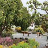 Mendocino Art Center’s Feast for the Arts