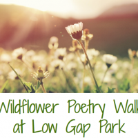 Wildflower Poetry Walk