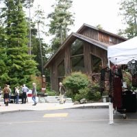 "61st Annual Art in the Redwoods" at Gualala Arts