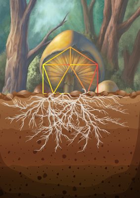 DOES MYCELIUM DREAM OF ELECTRIC HUMANS?