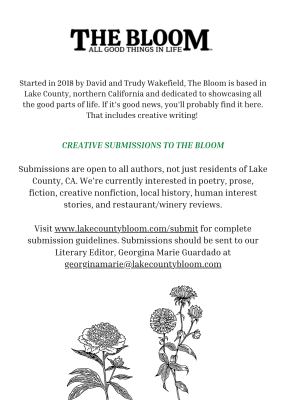 Creative Submissions to The Bloom