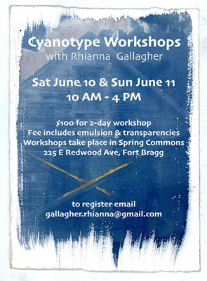 Cyanotypes with Rhianna Gallagher