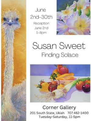 Susan Sweet at the Corner Gallery