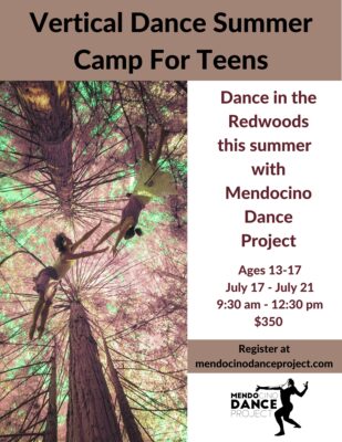 Summer Vertical Dance Camp for Teens