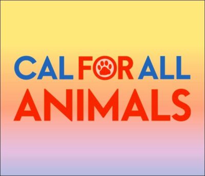 Community Art Contest Benefiting Pets and People