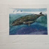 Whale Festival at Highlight